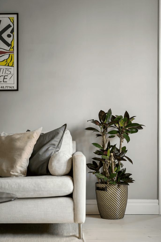 Investment Property Refinance