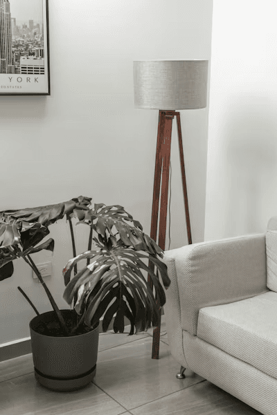 FHA Loans