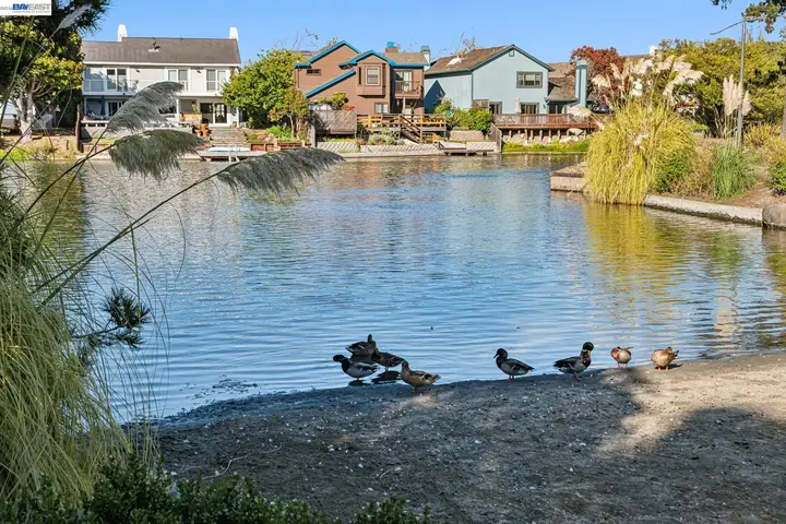 169 Diapian Bay, Alameda